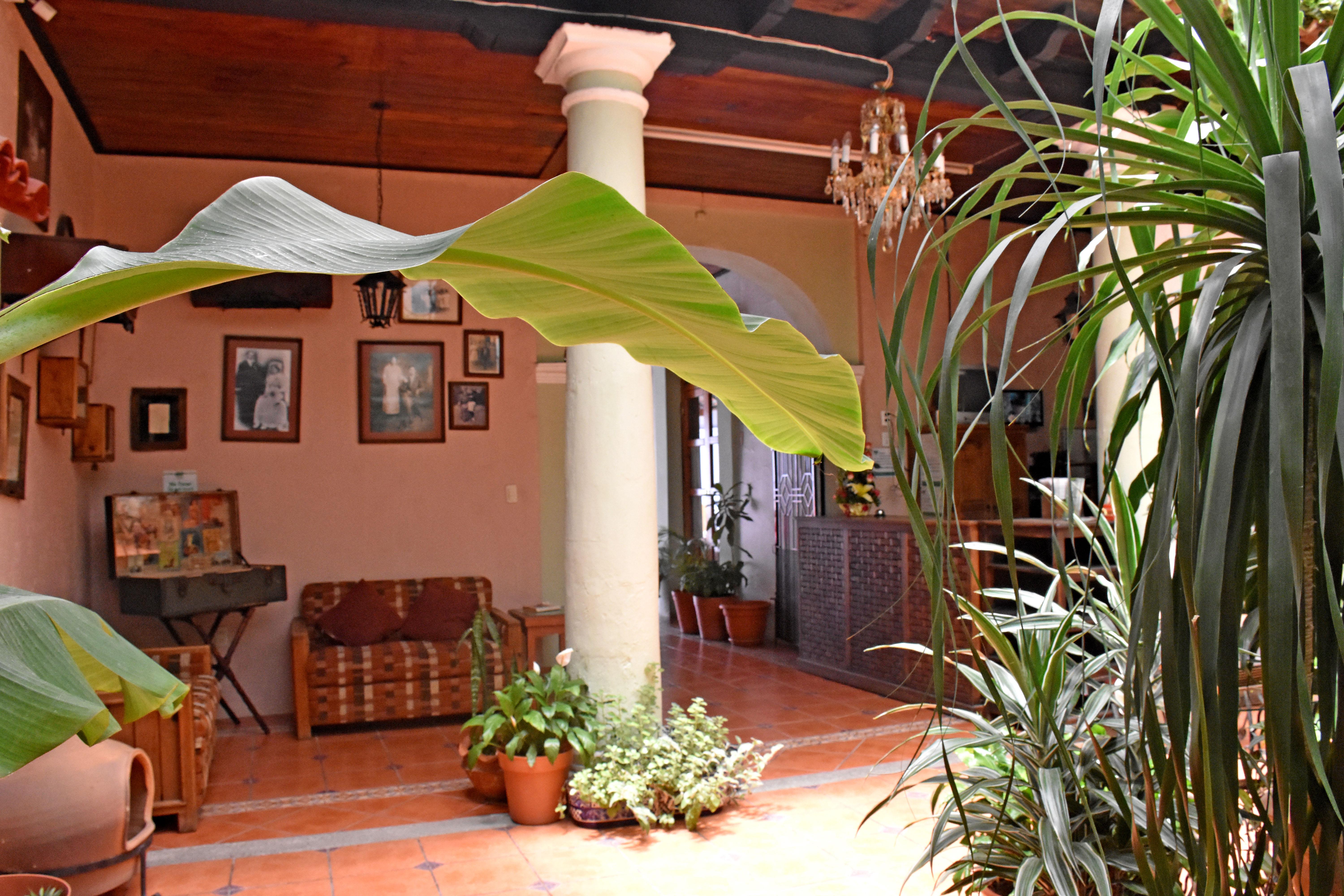 Hotel San Luis San Cristóbal de Las Casas Esterno foto