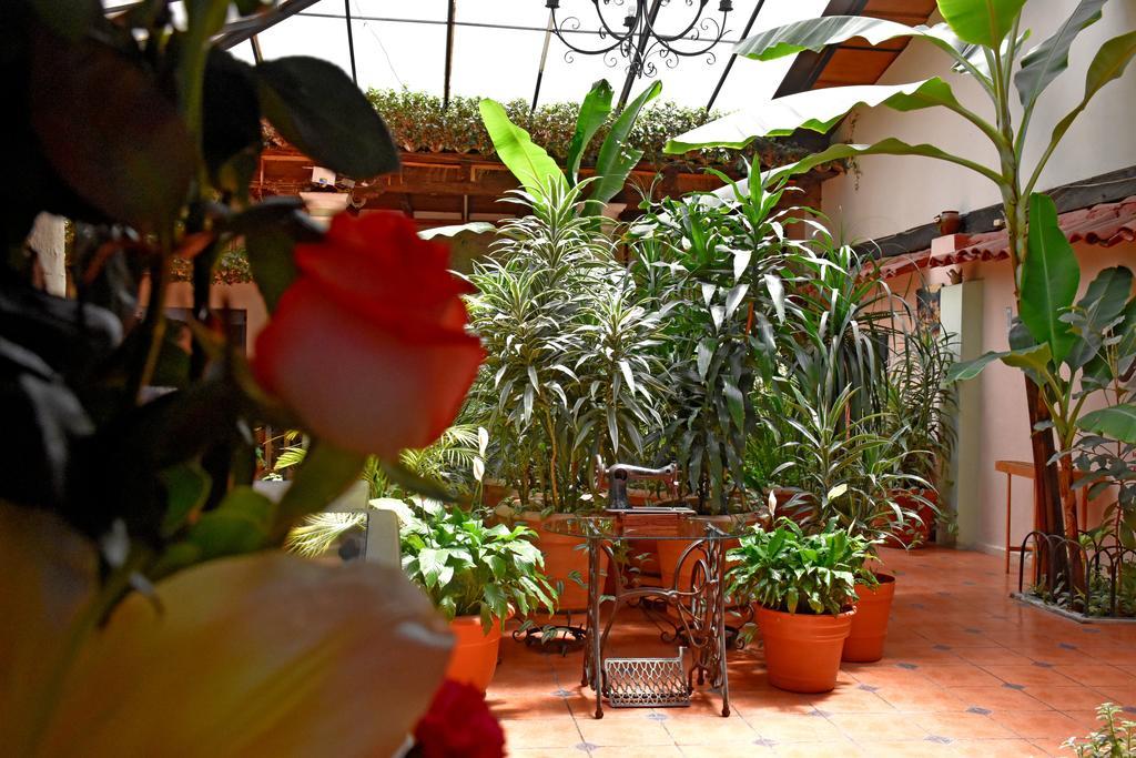 Hotel San Luis San Cristóbal de Las Casas Esterno foto
