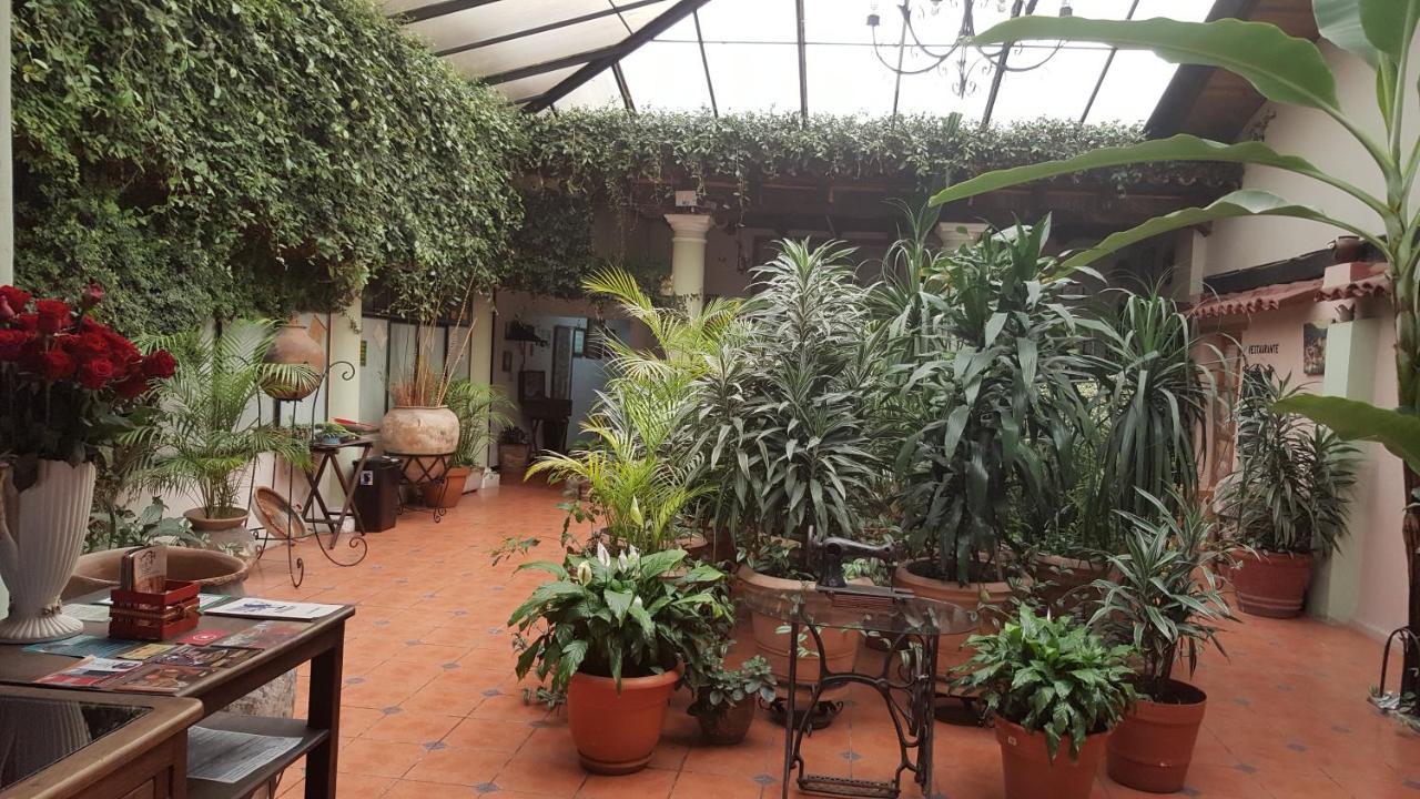 Hotel San Luis San Cristóbal de Las Casas Esterno foto